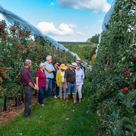 Vakantie Oord Zonnehoeve Valkenburg aan de Geul Dış mekan fotoğraf
